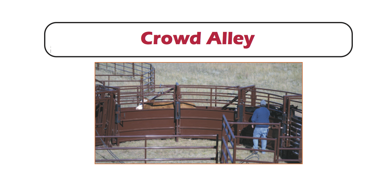 Hiqual - Crowd Alley crowd alley